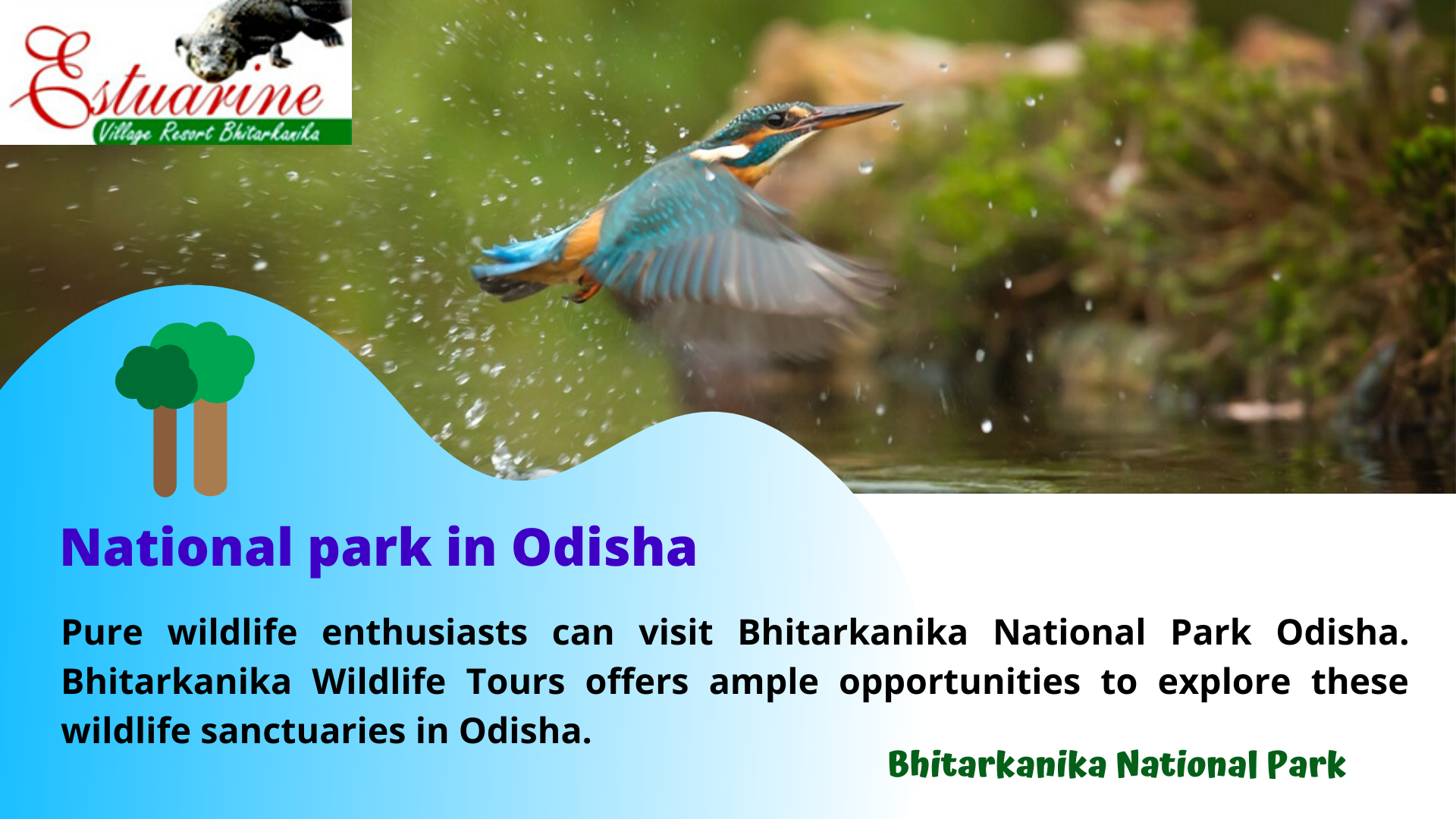 National park in Odisha